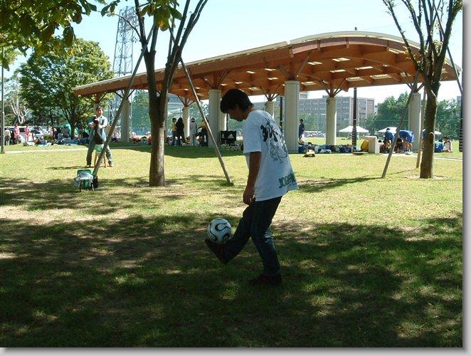 You have reached the last slide