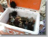 0820_075 * 650 x 488 * (84KB)