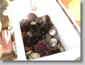 0827_106 * 650 x 488 * (63KB)