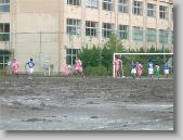 1008_088 * 650 x 488 * (84KB)