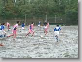 1008_138 * 650 x 488 * (92KB)