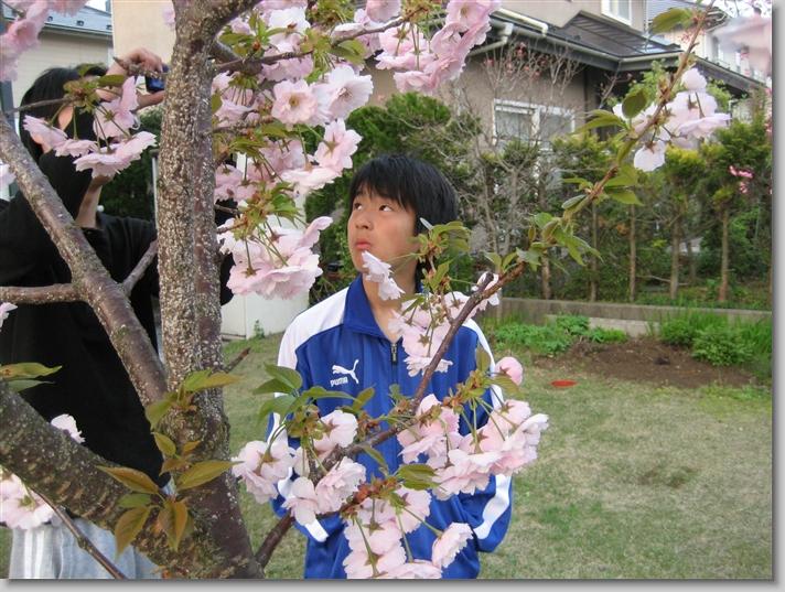 You have reached the last slide