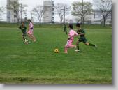 IMG_5803 * 700 x 525 * (306KB)