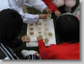 IMG_5860 * 700 x 525 * (246KB)