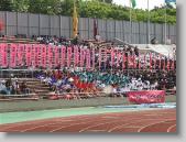 IMG_7209 * 700 x 525 * (144KB)