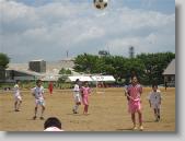 IMG_7284 * 700 x 525 * (87KB)