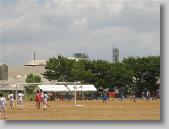 IMG_7326 * 700 x 525 * (80KB)