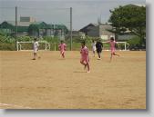 IMG_7334 * 700 x 525 * (95KB)