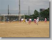 IMG_7341 * 700 x 525 * (82KB)