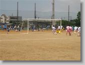 IMG_7342 * 700 x 525 * (87KB)