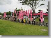 IMG_8551 * 700 x 525 * (124KB)