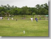 IMG_8562 * 700 x 525 * (106KB)