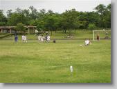 IMG_8564 * 700 x 525 * (110KB)