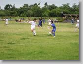 IMG_8605 * 700 x 525 * (119KB)