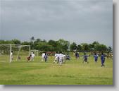 IMG_8618 * 700 x 525 * (75KB)