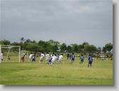 IMG_8619 * 700 x 525 * (74KB)