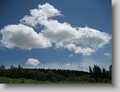 IMG_9611 * 2272 x 1704 * (1.39MB)