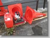 IMG_0880 * 670 x 502 * (164KB)