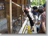 IMG_0926 * 670 x 502 * (174KB)