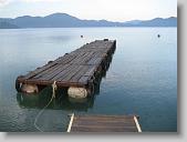 IMG_1010 * 670 x 502 * (100KB)