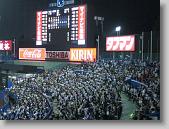 IMG_1395 * 650 x 488 * (122KB)