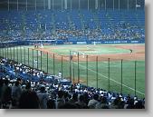 IMG_1397 * 650 x 488 * (111KB)