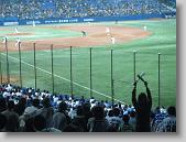 IMG_1402 * 650 x 488 * (100KB)