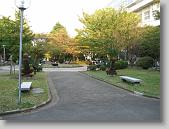 IMG_1622 * 650 x 488 * (112KB)