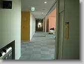 IMG_1642 * 650 x 488 * (46KB)