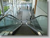 IMG_1649 * 650 x 488 * (71KB)