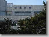 IMG_1656 * 650 x 488 * (81KB)