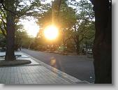 IMG_1657 * 650 x 488 * (93KB)