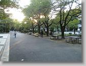 IMG_1659 * 650 x 488 * (116KB)