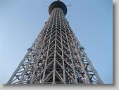 IMG_4686 * 650 x 488 * (111KB)