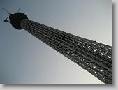 IMG_4729 * 650 x 488 * (77KB)