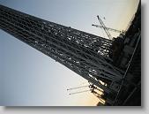 IMG_4730 * 650 x 488 * (101KB)