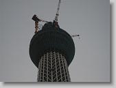 IMG_4741 * 650 x 488 * (72KB)