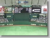 IMG_4811 * 650 x 488 * (139KB)