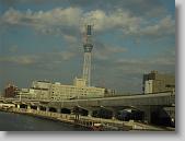 IMG_0145 * 650 x 488 * (57KB)