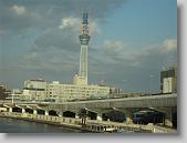 IMG_0162 * 650 x 488 * (59KB)