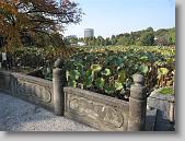 IMG_0221 * 650 x 488 * (129KB)