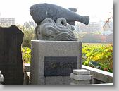 IMG_0226 * 650 x 488 * (91KB)