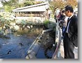 IMG_0230 * 650 x 488 * (133KB)