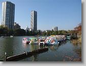 IMG_0238 * 650 x 488 * (79KB)