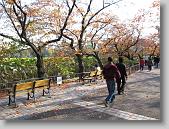 IMG_0239 * 650 x 488 * (169KB)