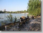 IMG_0240 * 650 x 488 * (105KB)