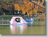 IMG_0245 * 650 x 488 * (106KB)