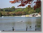 IMG_0246 * 650 x 488 * (111KB)