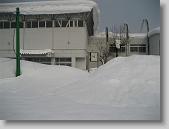 IMG_7590 * 600 x 450 * (44KB)