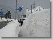 IMG_7605 * 600 x 450 * (53KB)